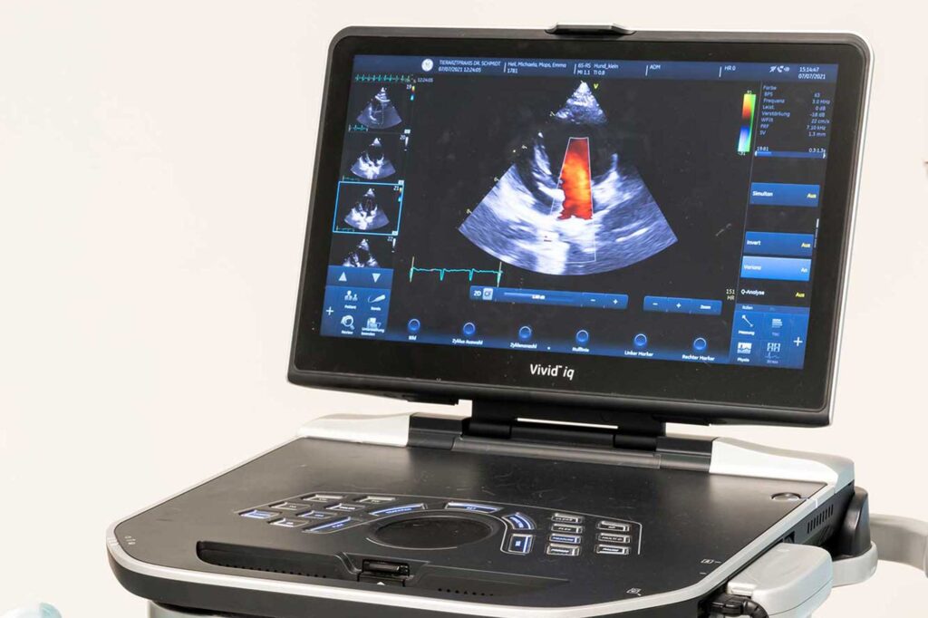 Digitales Ultraschallgerät für Herz- und Bauchultraschall bei Kleintieren