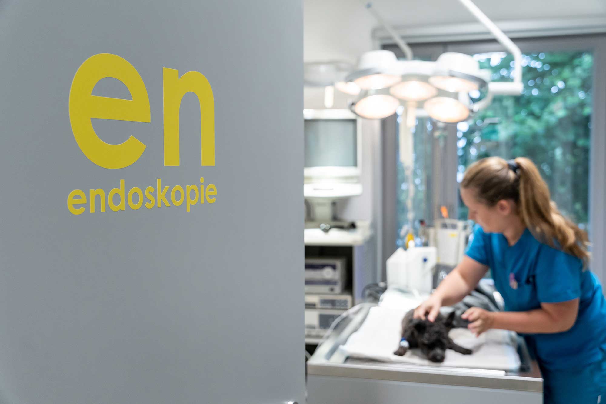 Endoskopie